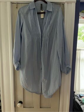 Light Blue Pinstripe Button-Down Shirt Dress